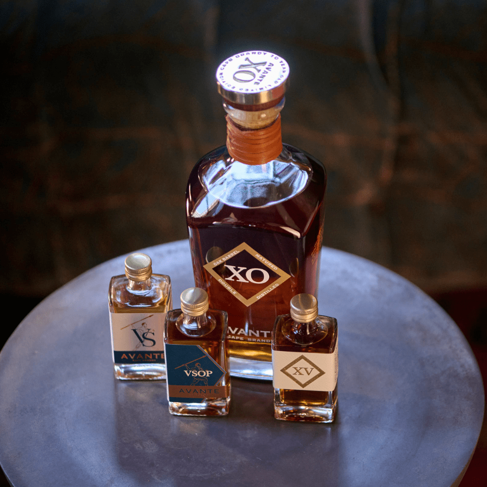 Avante XO & Mini Trio