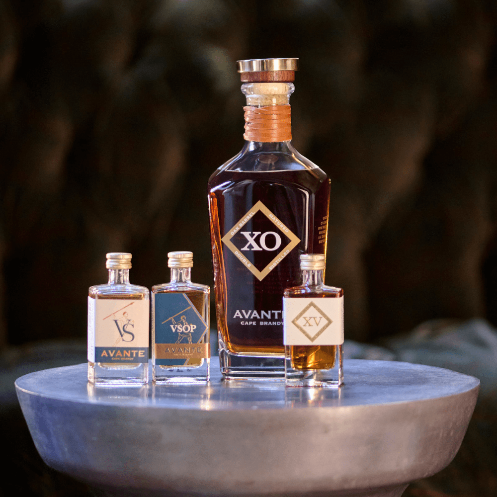 Avante XO & Mini Trio