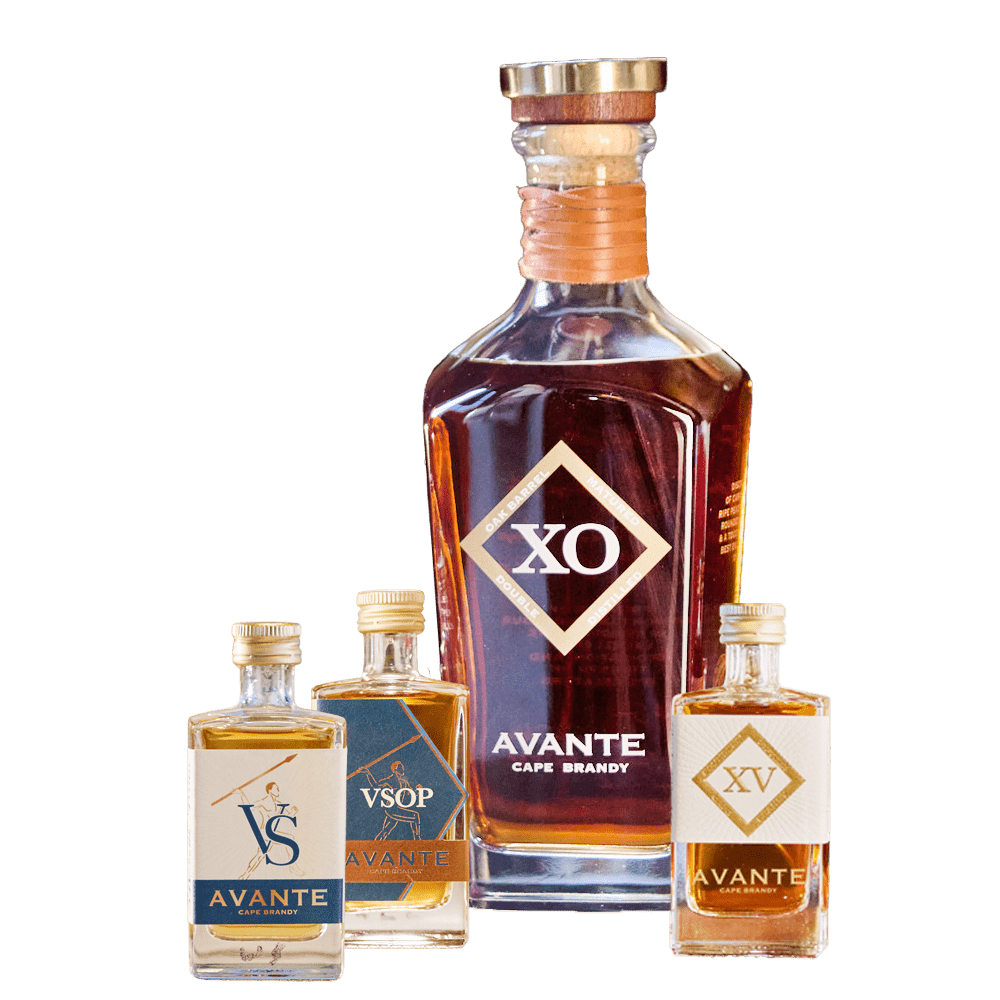 Avante XO & Mini Trio