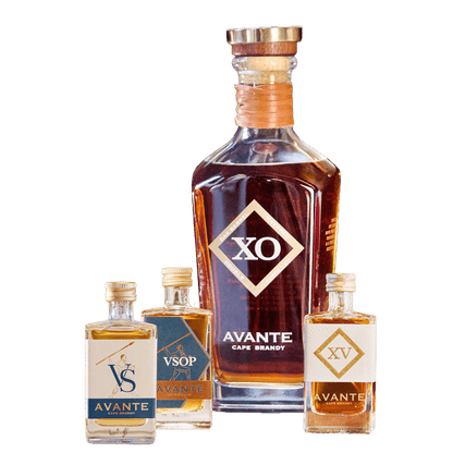 Avante XO & Mini Trio