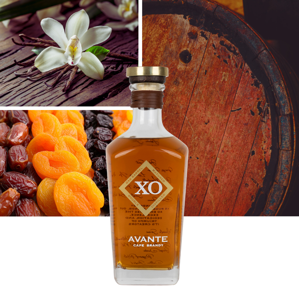 Avante Brandy